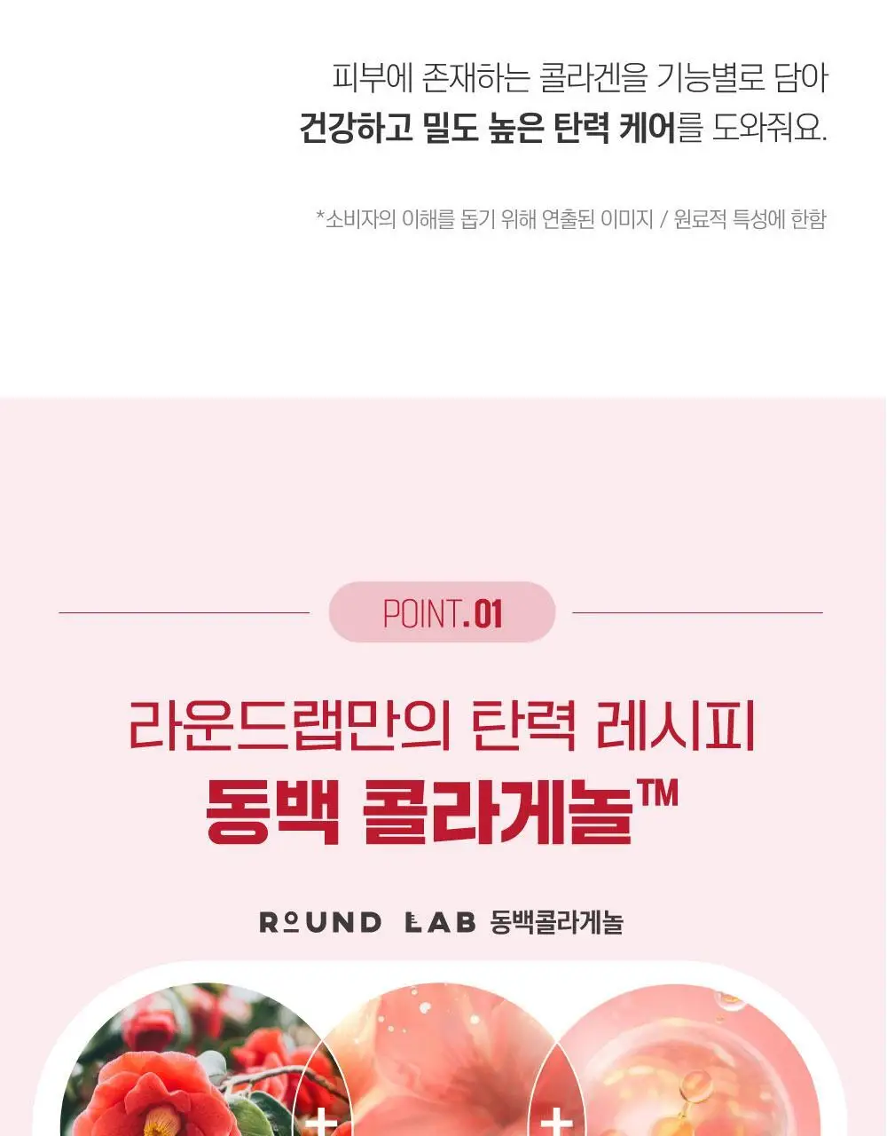 [볼륨탄력] 라운드랩 동백 딥 콜라겐 탄력 앰플 30ml 상세페이지 24
